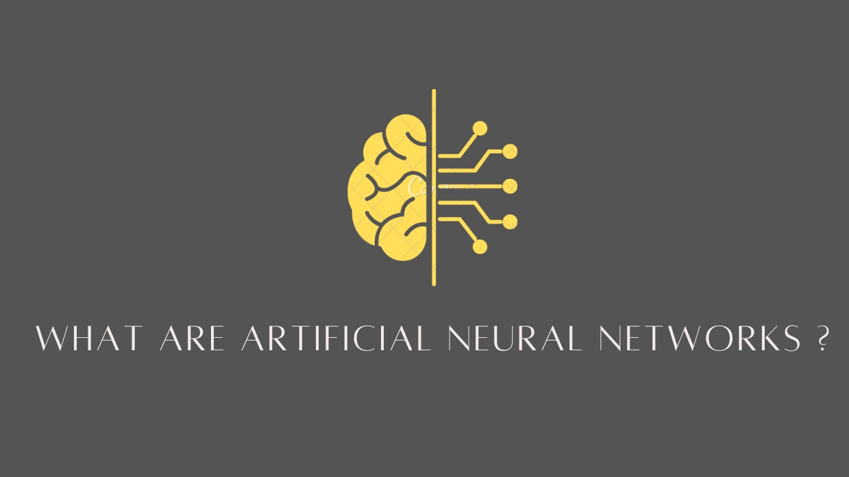 What Are Artificial Neural Networks ?